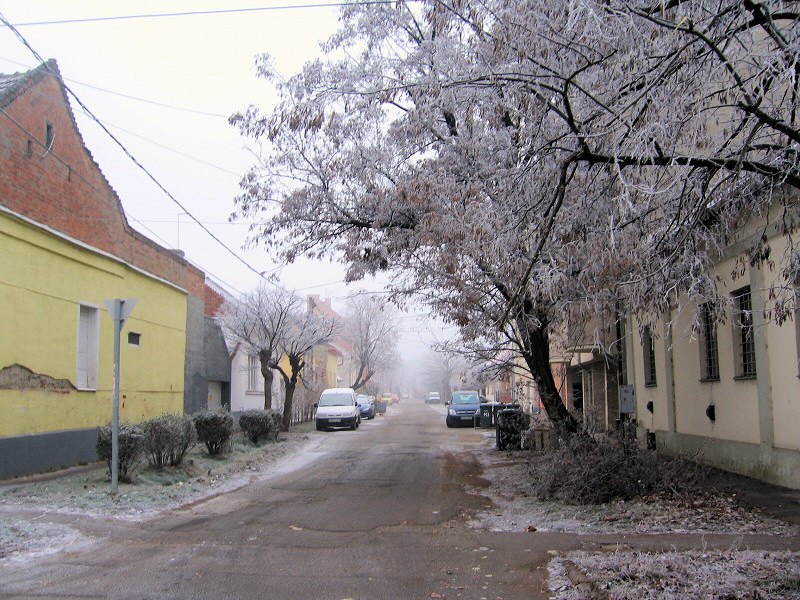 A street in Szolnok.