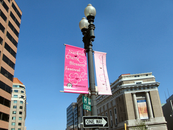 Cherry Blossom Festival.