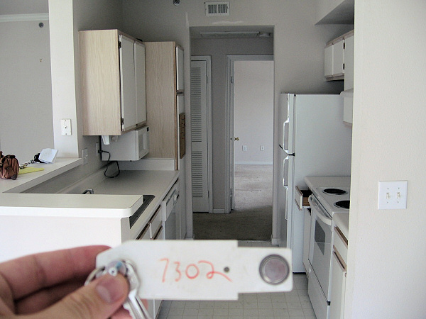 The kitchen of 7302.