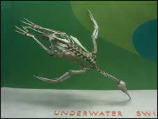 Underwater swimmer.