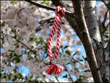 Martenitsa at the Cherry Blossoms.
