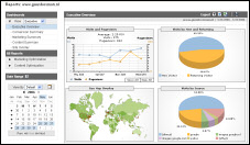 Google Analytics executive overview. 