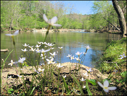 Eno River State Park.