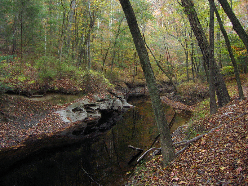 A creek through the park.